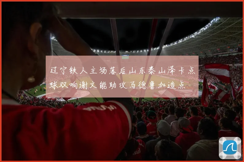 辽宁铁人主场落后山东泰山泽卡点球双响谢文能助攻马德鲁加造点